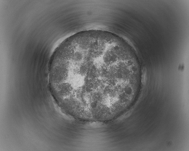 X0000112941117200910051149