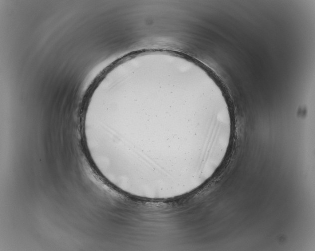 X0000112941120200910051149