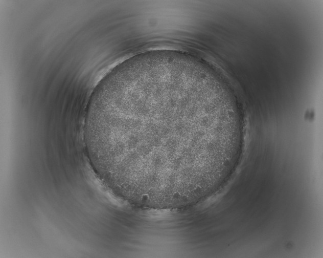 X0000112941121200910051149