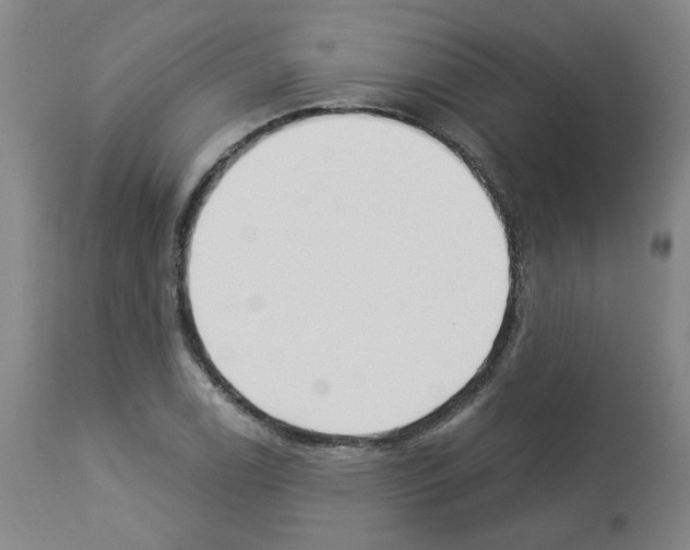 X0000112941122200910051149