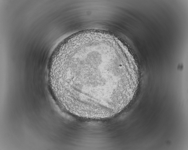 X0000112941125200910051149