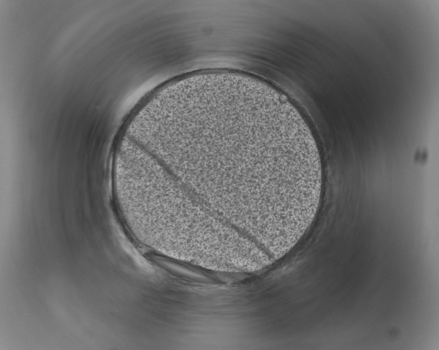 X0000112941127200910051149