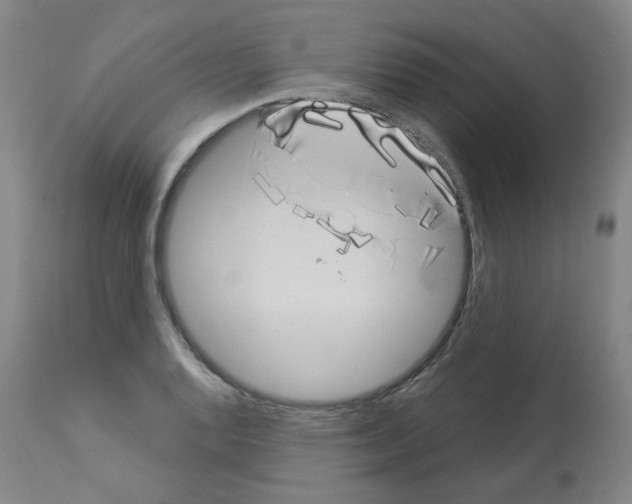 X0000112941128200910051149