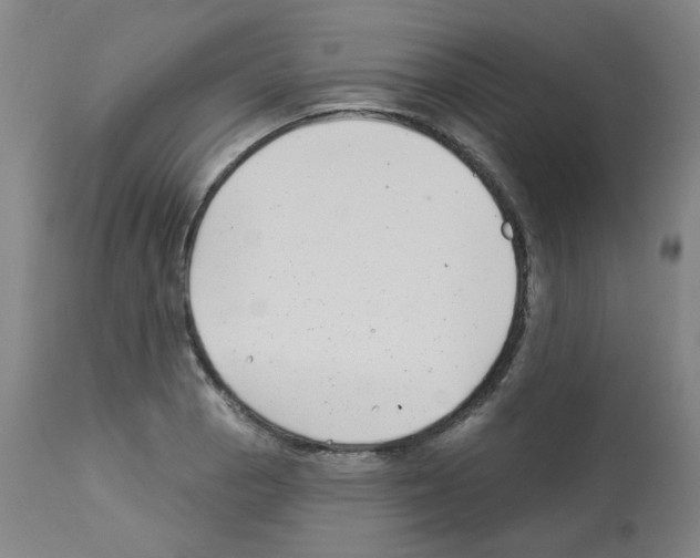 X0000112941129200910051149
