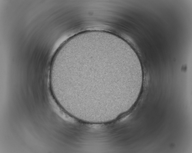 X0000112941130200910051149