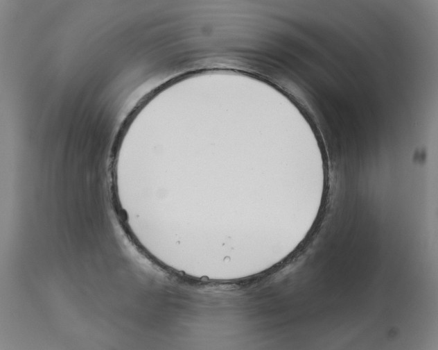 X0000112941133200910051149