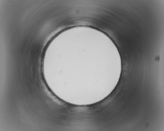X0000112941134200910051149