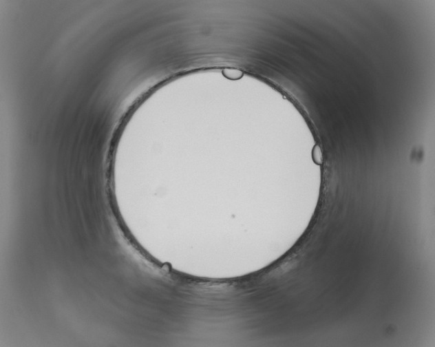 X0000112941135200910051149
