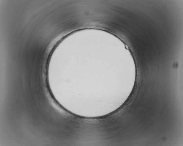 X0000112941136200910051149