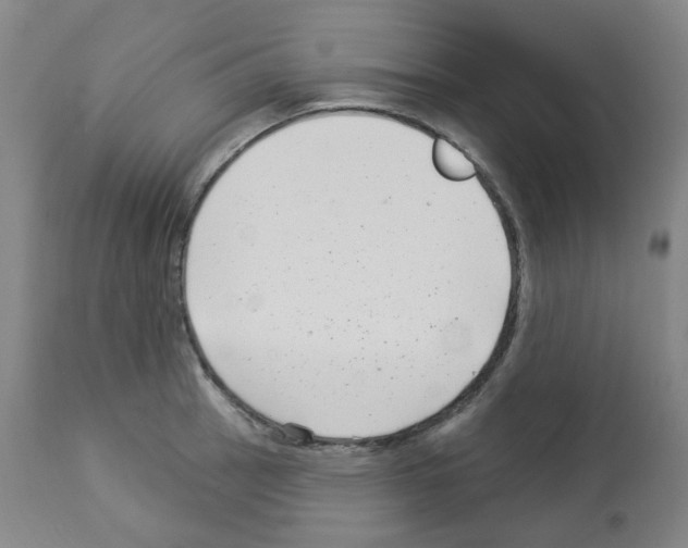 X0000112941137200910051149