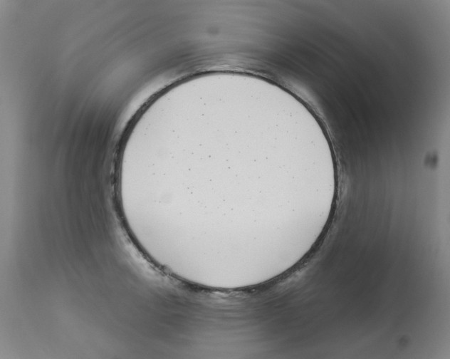 X0000112941138200910051149