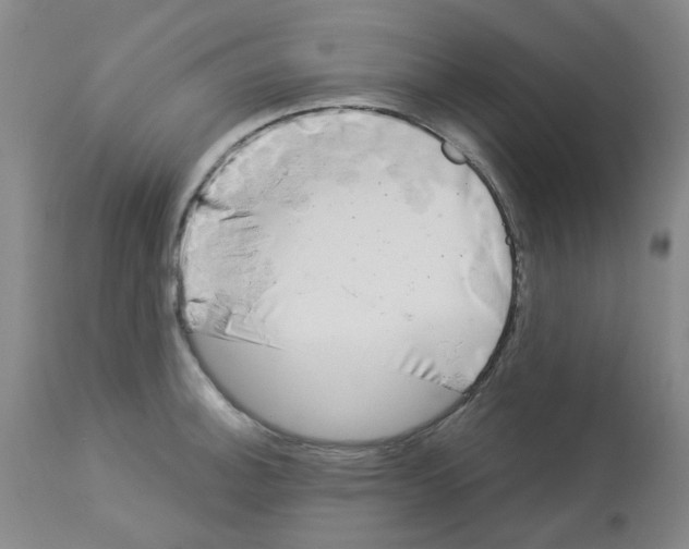 X0000112941140200910051149