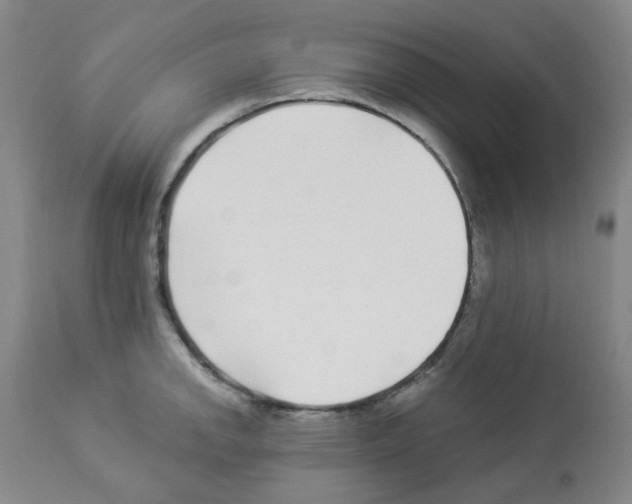 X0000112941142200910051149