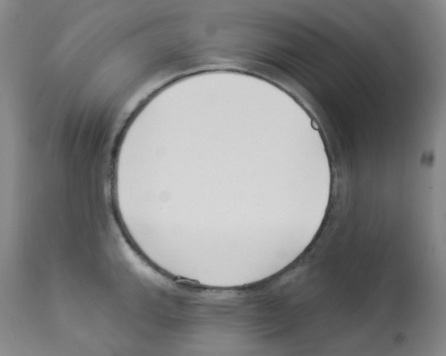 X0000112941143200910051149