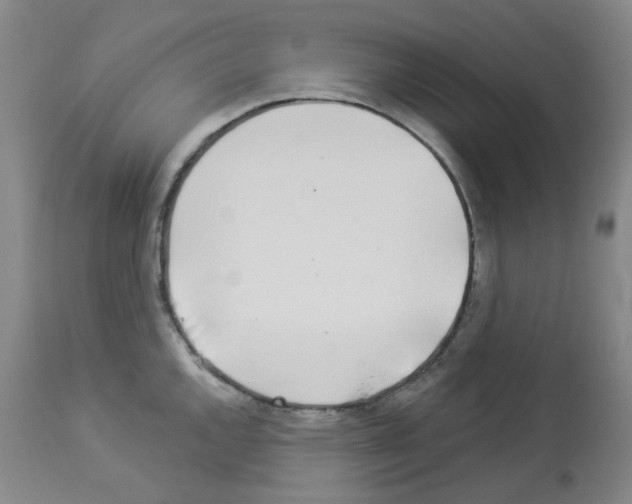 X0000112941144200910051149