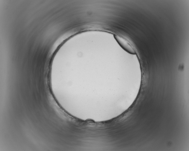 X0000112941146200910051149