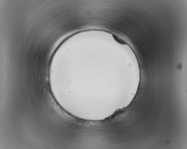 X0000112941148200910051149