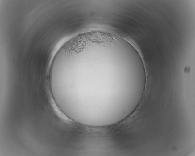 X0000112941152200910051149