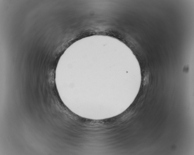 X0000112941156200910051148