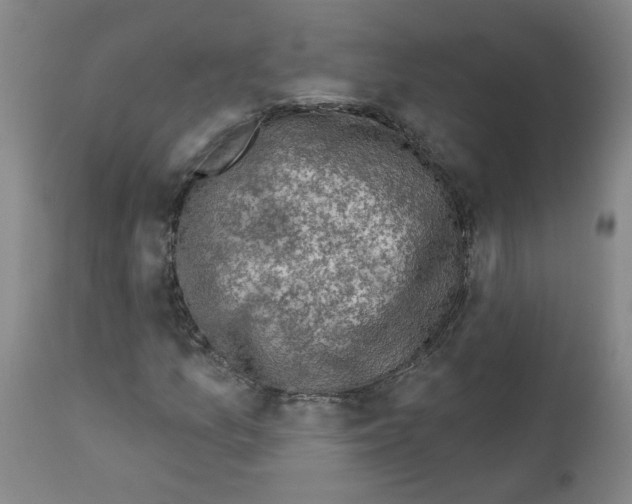 X0000112941157200910051148