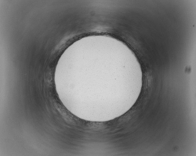 X0000112941158200910051148