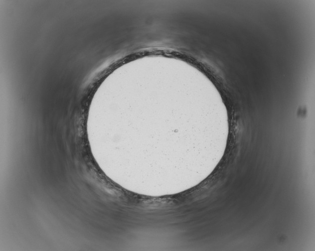 X0000112941159200910051148