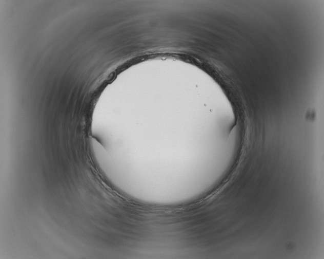 X0000112941161200910051148
