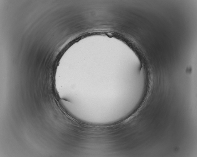X0000112941162200910051148