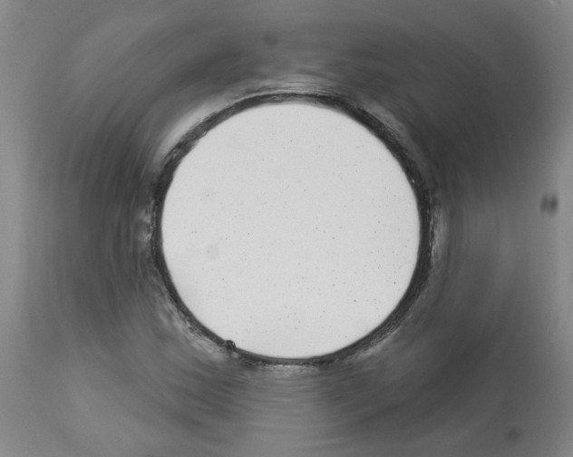 X0000112941163200910051148