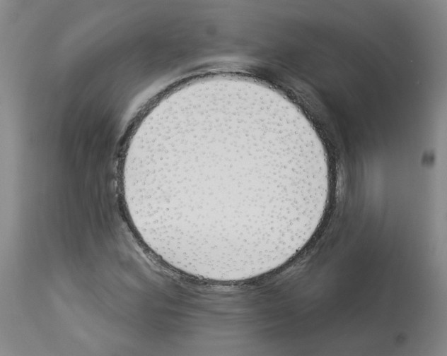 X0000112941164200910051148