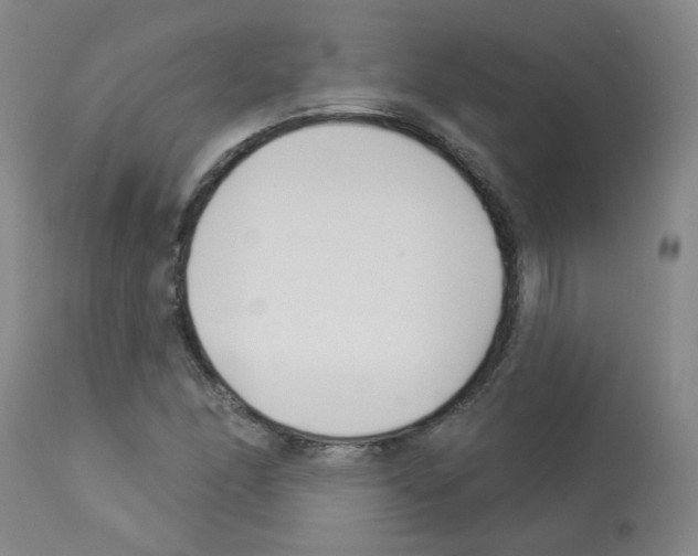X0000112941166200910051148