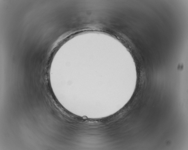 X0000112941168200910051148