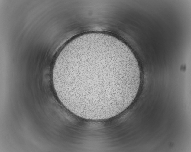 X0000112941170200910051148