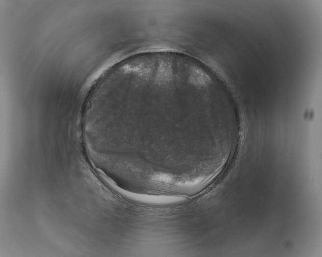 X0000112941173200910051148