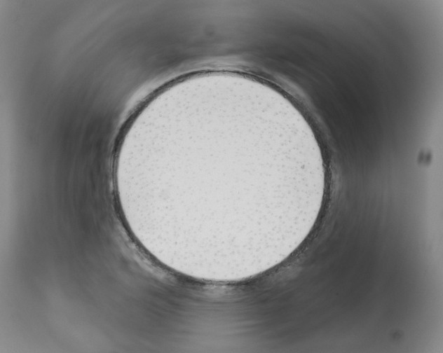 X0000112941176200910051148