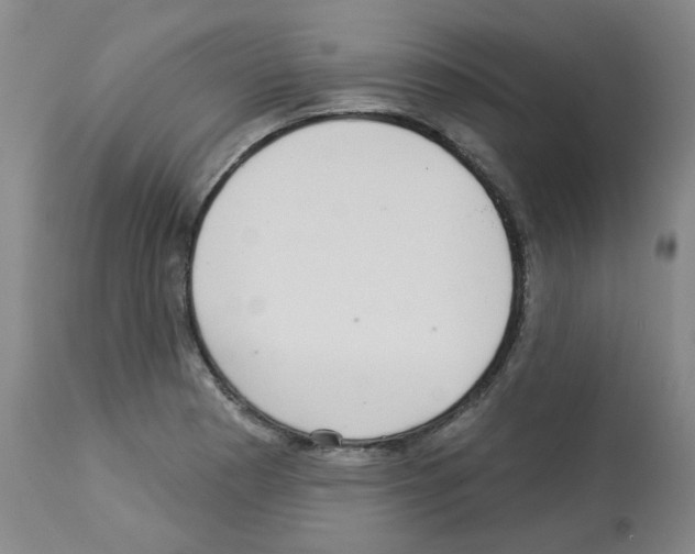 X0000112941177200910051148