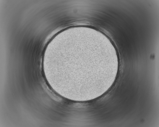 X0000112941179200910051148