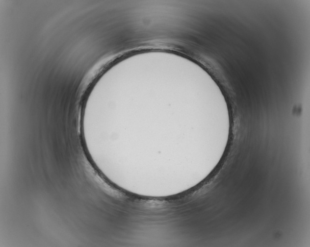 X0000112941180200910051148