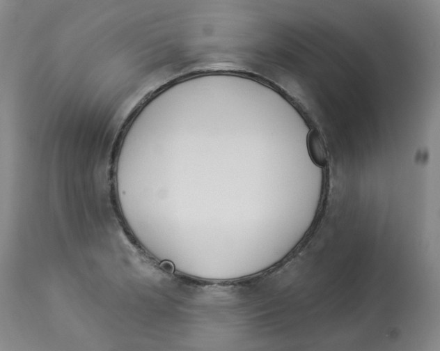 X0000112941181200910051148