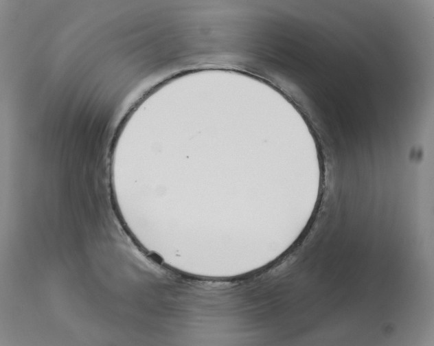 X0000112941184200910051148