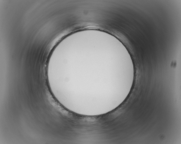 X0000112941190200910051148