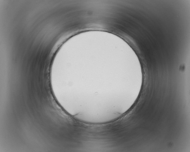 X0000112941192200910051148