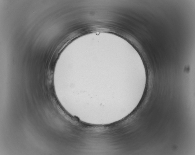 X0000112941193200910051148
