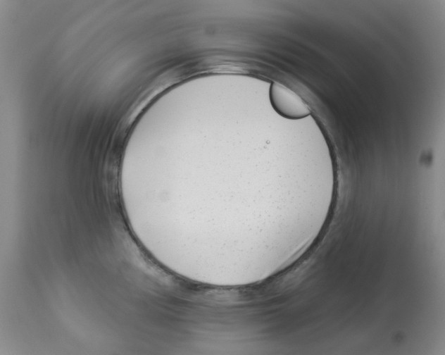 X0000112941194200910051148