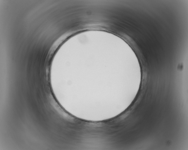 X0000112941196200910051148