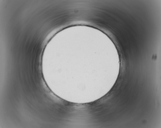 X0000112941199200910051148