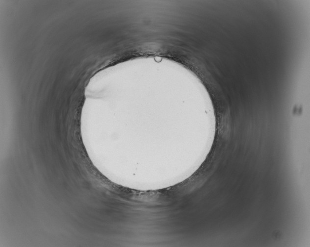 X0000112941201200910051147