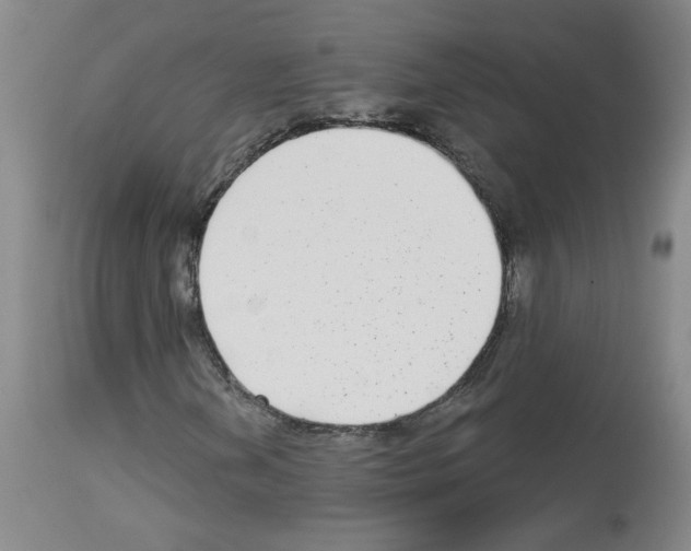 X0000112941202200910051147