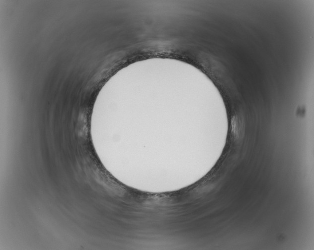 X0000112941203200910051147