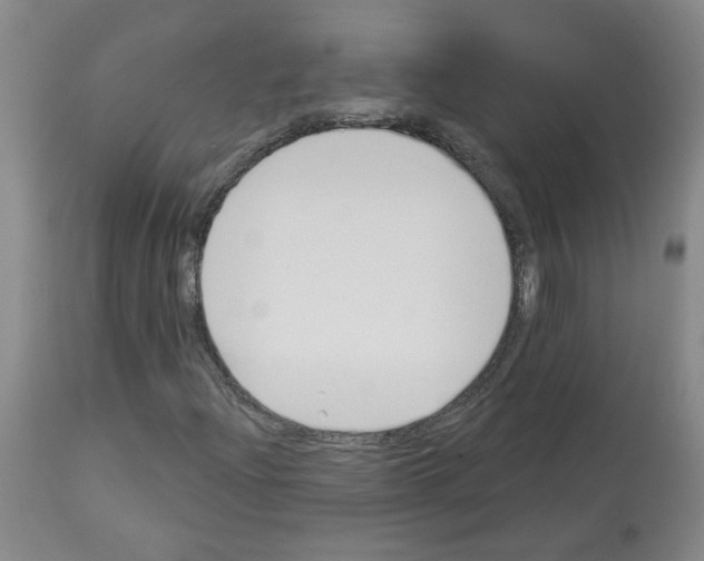 X0000112941204200910051147